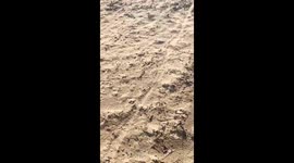 storm Doris in brean