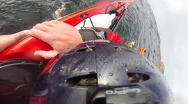Powerful wave hits kayaker prompting emergency rescue