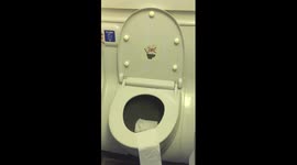 Boeing 737 Toilets Power