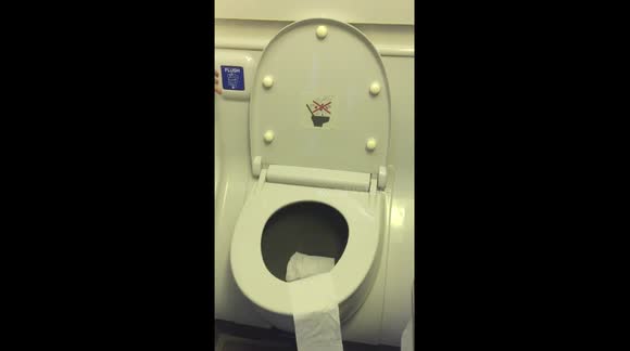 Boeing 737 Toilets Power