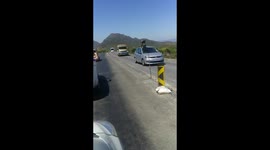 Escaped monkeys do it on motorist's car