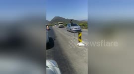 Newsflare Edit - Escaped monkeys do it on motorist's car