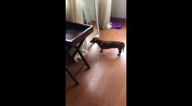 When you not as good looking as you thought.