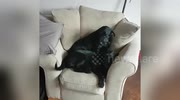 temp