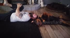 Rottweiler joins owner for some stretches