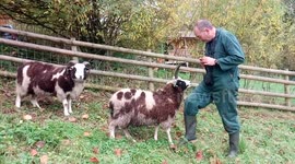 Nearly an ouch moment