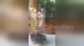 Man creates home-made fly trap and it works really efficiently