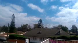 Locust invasion part 2 #antananarivo