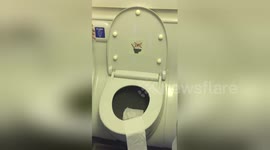 Newsflare Edit - Boeing 737 Toilets Power