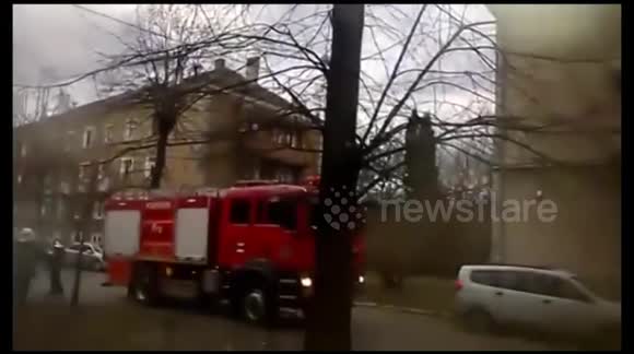 Cat rescued in Baia Mare, Romania