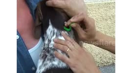 Tick Twister no voiceover