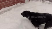 temp