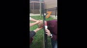 temp
