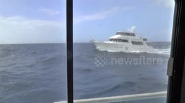 Turbulent High-Speed Ferry Ride in the Caribbean