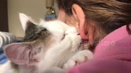 This cat's strange behaviour