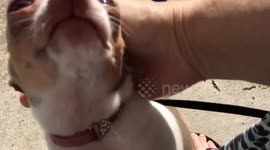 Lily Lilac (part 2) Big Hug & kiss!!!