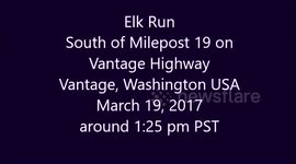 ElkRun, Kittitas County, Washington, Elk
