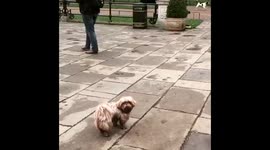 Moment of silence after London Attack, Hyde Park 