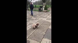 After London attack, moment of silence in Hyde Park