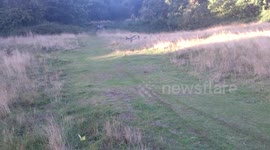 Lad Falls off Moped on Grass