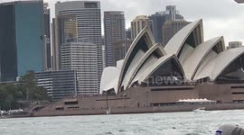 On Busy Sydney Harbour