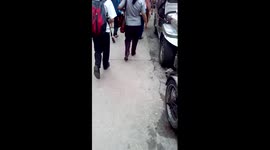 Watch as I feed expensive JERKY to starving street dogs as people walk past.