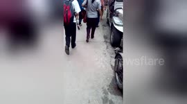 Newsflare Edit - Watch as I feed expensive JERKY to starving street dogs as people walk past.