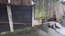 Storm Darwin - destruction and clean up - Limerick, Ireland