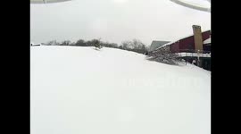 Drone Bites Dog: Director's Cut