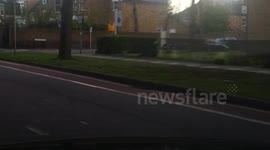 Black cab attempts flight