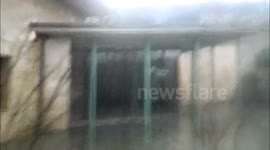 Fire in the cementery