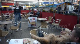Laid-back dog and man bring smiles to protesters' faces
