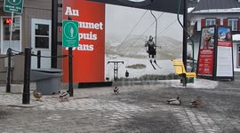 Snowboarding Ducks  Ski Lift Up