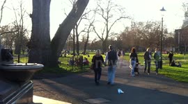 Enjoying the March sunshine on Clapham Common
