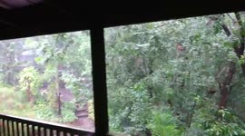 Samford Valley. 130pm. Ex Tropical Cyclone Debbie