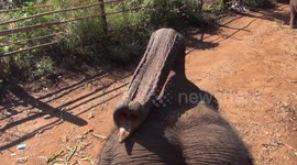 Riding an elephant in Thailand