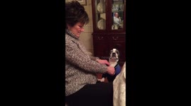 A Very Doggy Baby Announcement