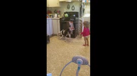 Hilarious pooch biting bubbles