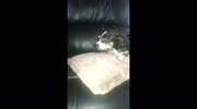 temp