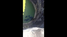 Dog winched to safety after getting stuck in deep well for several days