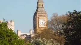 Sunshine In St James Park