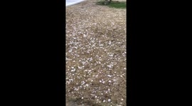 Hailstorm aftermath.