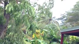 CRAZY WINDS!!!!!!! Cyclone Cook Vanuatu