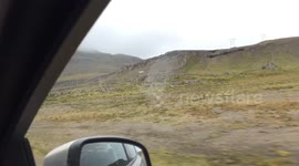 Racing Birds in Eastern Iceland