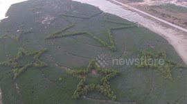 Chinese national flag pattern cut out of forest
