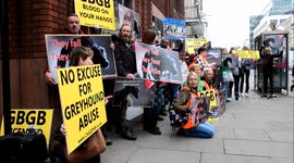 Animal welfare demonstration 