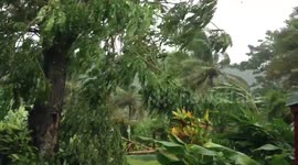 High winds from Cyclone Cook