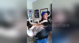 Dog thinks he's a big baby