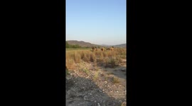Close encounter - Jim Corbett National Park