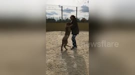 Newsflare Edit - Lion cubs attack with LOVE